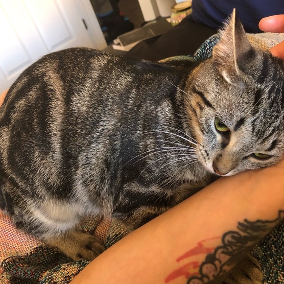 Meet your Posher, Sara - Picture 5 of 5